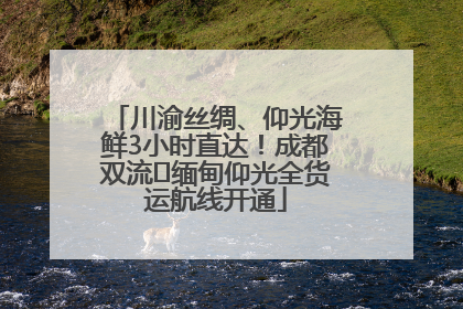 川渝丝绸、仰光海鲜3小时直达！成都双流⇌缅甸仰光全货运航线开通