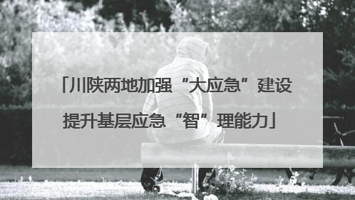 川陕两地加强“大应急”建设 提升基层应急“智”理能力