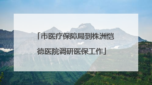 市医疗保障局到株洲恺德医院调研医保工作