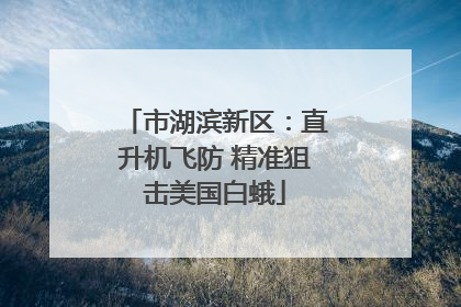 市湖滨新区：直升机飞防 精准狙击美国白蛾