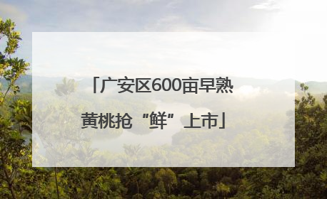 广安区600亩早熟黄桃抢“鲜”上市