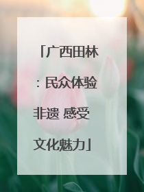广西田林：民众体验非遗 感受文化魅力