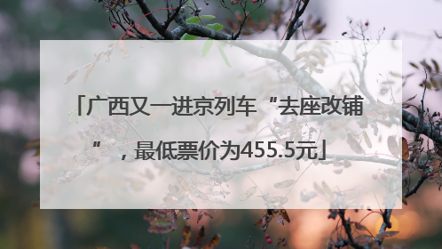 广西又一进京列车“去座改铺”，最低票价为455.5元