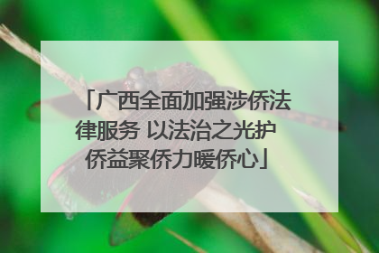 广西全面加强涉侨法律服务 以法治之光护侨益聚侨力暖侨心