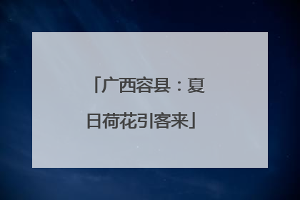 广西容县：夏日荷花引客来