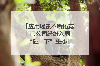 应用场景不断拓宽 上市公司纷纷入局“碰一下”生态