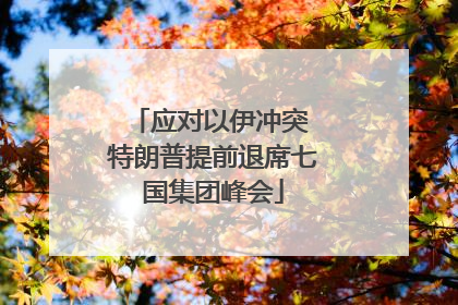 应对以伊冲突 特朗普提前退席七国集团峰会