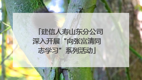 建信人寿山东分公司深入开展“向张富清同志学习”系列活动