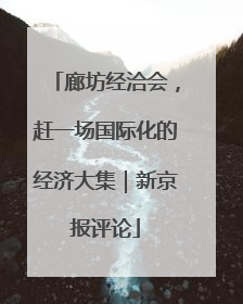 廊坊经洽会，赶一场国际化的经济大集｜新京报评论