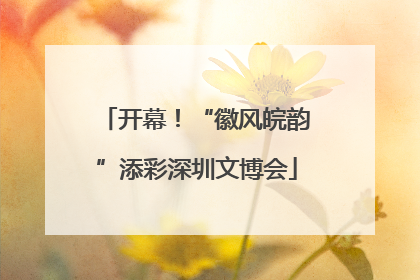 开幕！“徽风皖韵”添彩深圳文博会