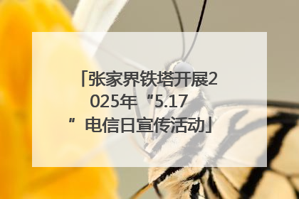 张家界铁塔开展2025年“5.17”电信日宣传活动