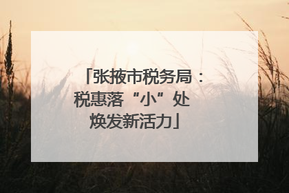 张掖市税务局：税惠落“小”处 焕发新活力
