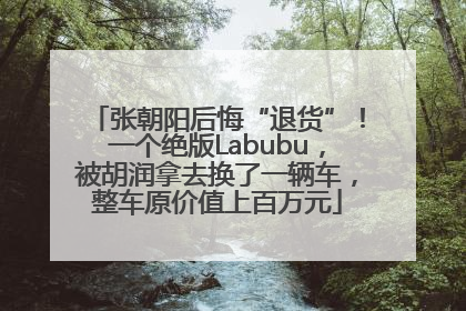 张朝阳后悔“退货”！一个绝版Labubu，被胡润拿去换了一辆车，整车原价值上百万元