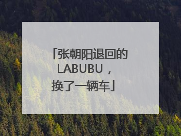张朝阳退回的LABUBU，换了一辆车