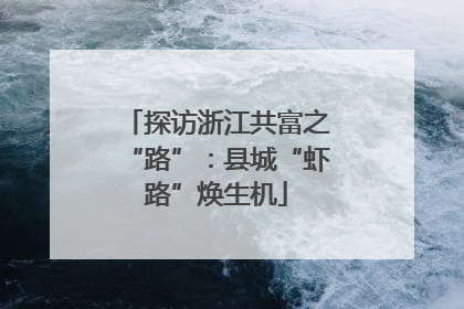 探访浙江共富之“路”：县城“虾路”焕生机