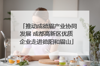 推动成德眉产业协同发展 成都高新区优质企业走进德阳和眉山