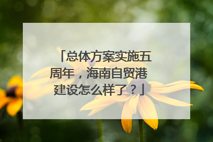 总体方案实施五周年，海南自贸港建设怎么样了？