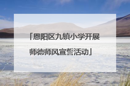 恩阳区九镇小学开展师德师风宣誓活动
