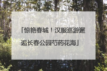 惊艳春城！汉服巡游邂逅长春公园芍药花海