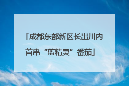 成都东部新区长出川内首串“蓝精灵”番茄
