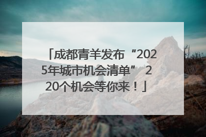 成都青羊发布“2025年城市机会清单” 220个机会等你来！