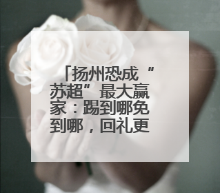 扬州恐成“苏超”最大赢家：踢到哪免到哪，回礼更惊艳！