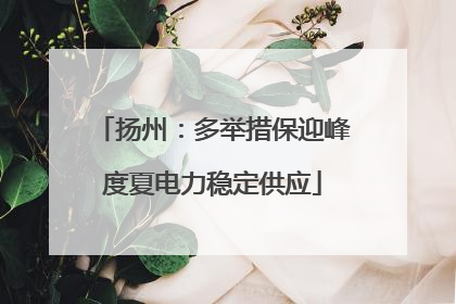 扬州：多举措保迎峰度夏电力稳定供应