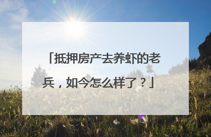 抵押房产去养虾的老兵，如今怎么样了？