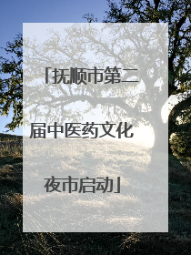 抚顺市第二届中医药文化夜市启动