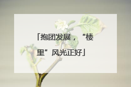 抱团发展，“楼里”风光正好