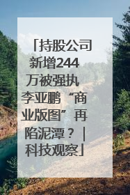 持股公司新增244万被强执 李亚鹏“商业版图”再陷泥潭？｜科技观察