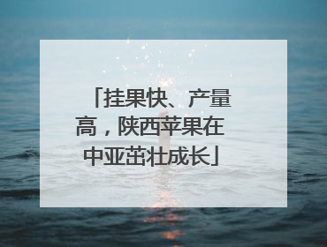 挂果快、产量高，陕西苹果在中亚茁壮成长