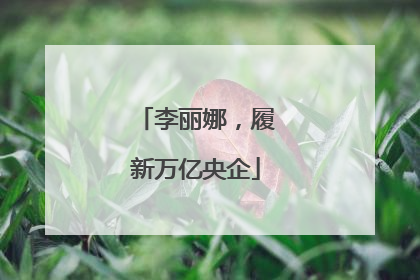 李丽娜，履新万亿央企