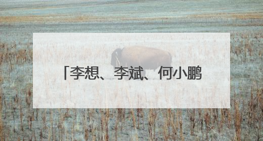 李想、李斌、何小鹏齐祝小米YU7大卖