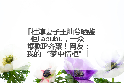 杜淳妻子王灿兮晒整柜Labubu，一众爆款IP齐聚！网友：我的 “梦中情柜”