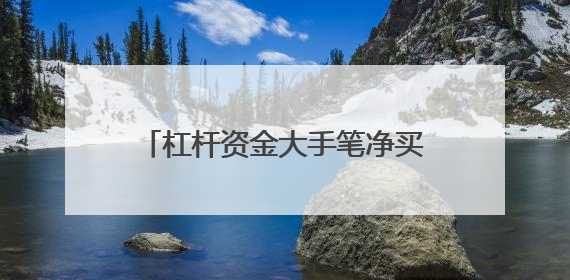 杠杆资金大手笔净买入的科创板股曝光