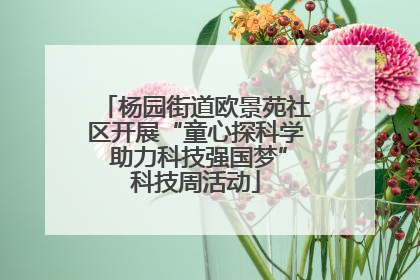 杨园街道欧景苑社区开展“童心探科学 助力科技强国梦”科技周活动
