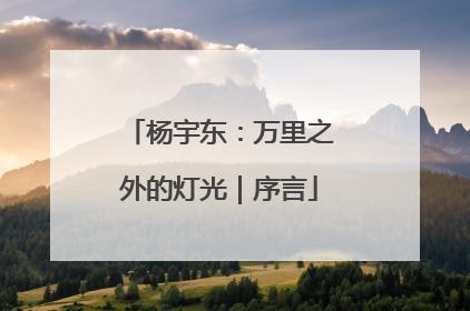 杨宇东：万里之外的灯光｜序言