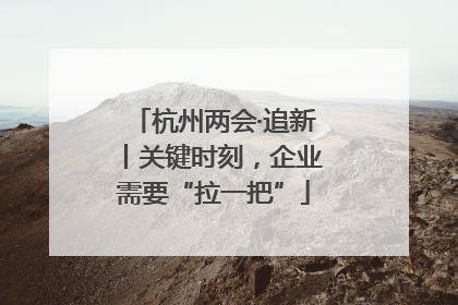 杭州两会·追新丨关键时刻，企业需要“拉一把”