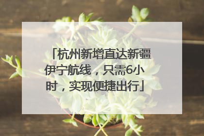 杭州新增直达新疆伊宁航线，只需6小时，实现便捷出行