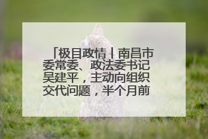 极目政情丨南昌市委常委、政法委书记吴建平，主动向组织交代问题，半个月前还在出席会议