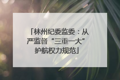 林州纪委监委：从严监督“三重一大” 护航权力规范