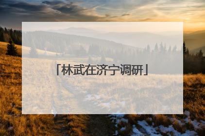 林武在济宁调研