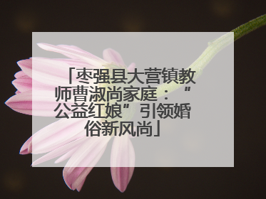 枣强县大营镇教师曹淑尚家庭：“公益红娘”引领婚俗新风尚