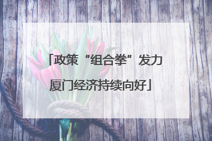 政策“组合拳”发力 厦门经济持续向好
