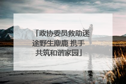 政协委员救助迷途野生麋鹿 携手共筑和谐家园