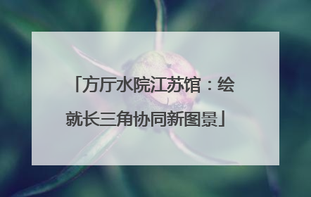 方厅水院江苏馆：绘就长三角协同新图景