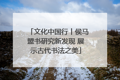 文化中国行丨侯马盟书研究新发现 展示古代书法之美