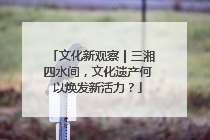 文化新观察｜三湘四水间，文化遗产何以焕发新活力？