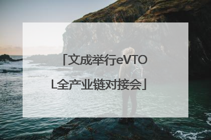 文成举行eVTOL全产业链对接会